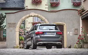   Mercedes-Benz GLC 220 d 4MATIC Off Road - 2015