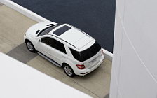   Mercedes-Benz ML320 BlueTEC - 2008