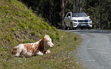   Mercedes-Benz ML250 BlueTec AMG Sports Package - 2011