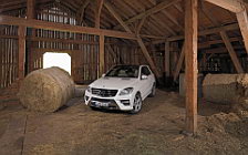   Mercedes-Benz ML250 BlueTec AMG Sports Package - 2011