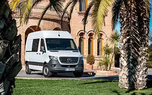   Mercedes-Benz Sprinter Panel Van - 2018