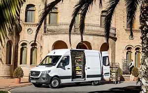   Mercedes-Benz Sprinter Panel Van - 2018