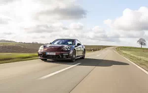   Porsche Panamera 4 E-Hybrid SportDesign Package (Cherry Metallic) - 2020