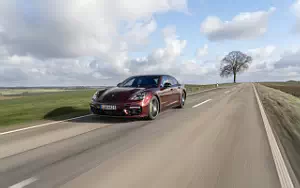   Porsche Panamera 4 E-Hybrid SportDesign Package (Cherry Metallic) - 2020
