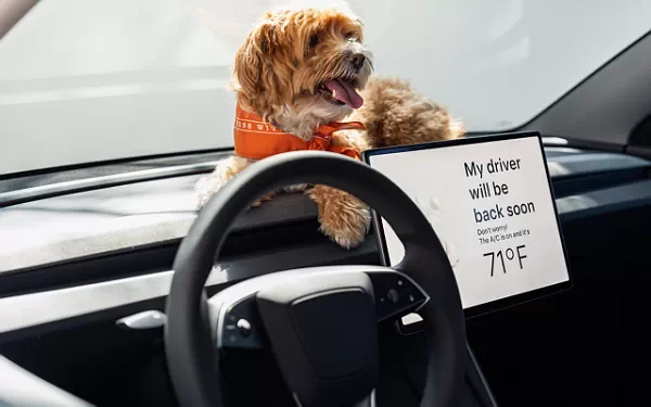 ���� ���������� Tesla Model 3 Standard - 2025