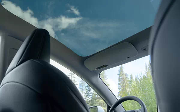 ���� ���������� Tesla Model 3 Standard - 2025