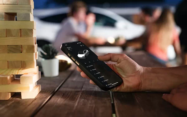 ���� ���������� Tesla Model 3 Standard - 2025