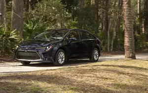   Toyota Corolla XLE Sedan US-spec - 2019