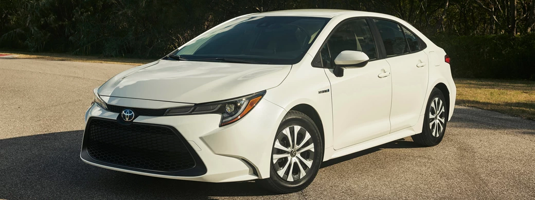   Toyota Corolla LE Hybrid Sedan US-spec - 2019 - Car wallpapers