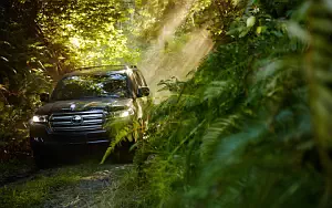   Toyota Land Cruiser 200 US-spec - 2016