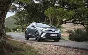   Toyota C-HR Hybrid (Grey) - 2019