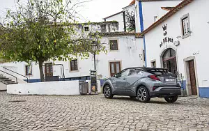   Toyota C-HR Hybrid (Grey) - 2019