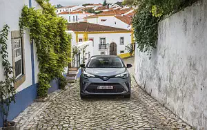   Toyota C-HR Hybrid (Grey) - 2019