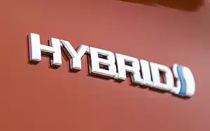   Toyota C-HR Hybrid (Orange) - 2019