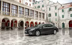   Toyota Camry Hybrid - 2019