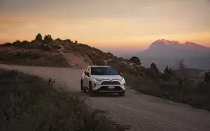   Toyota RAV4 Hybrid Style - 2019