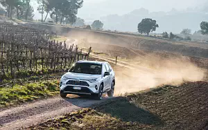   Toyota RAV4 Hybrid Style - 2019