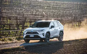   Toyota RAV4 Hybrid Style - 2019