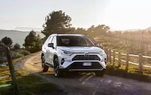   Toyota RAV4 Hybrid Style - 2019