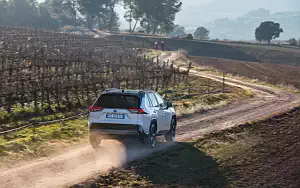   Toyota RAV4 Hybrid Style - 2019