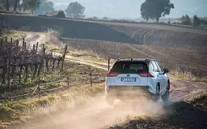   Toyota RAV4 Hybrid Style - 2019