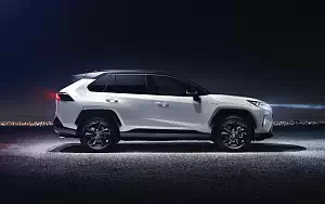   Toyota RAV4 Hybrid Style - 2019