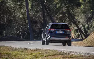   Toyota RAV4 Hybrid - 2019