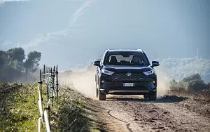   Toyota RAV4 Hybrid - 2019