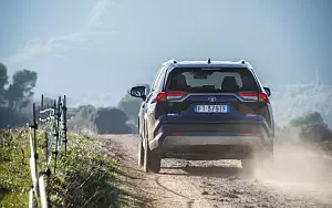   Toyota RAV4 Hybrid - 2019