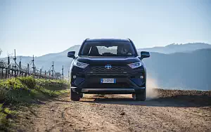  Toyota RAV4 Hybrid - 2019